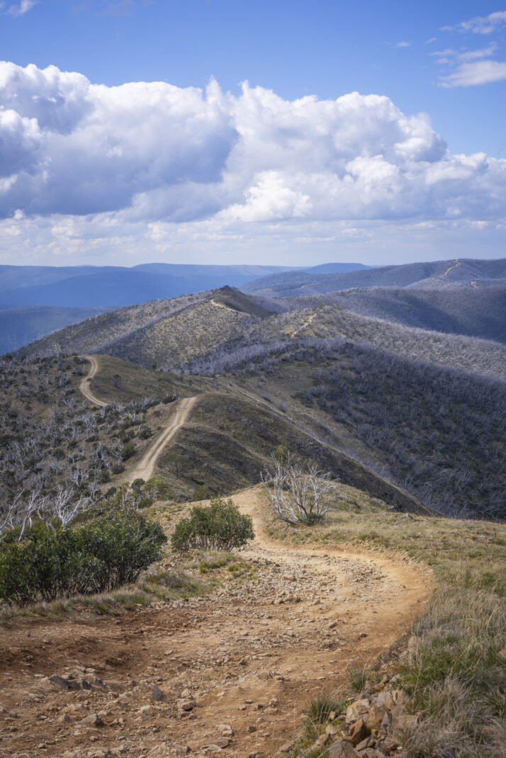 ARB 50 Year Trip – VIC High Country