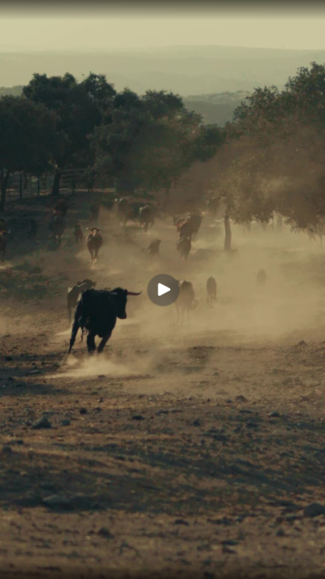 ARB 50 Year Trip – Europe Social Media Reel