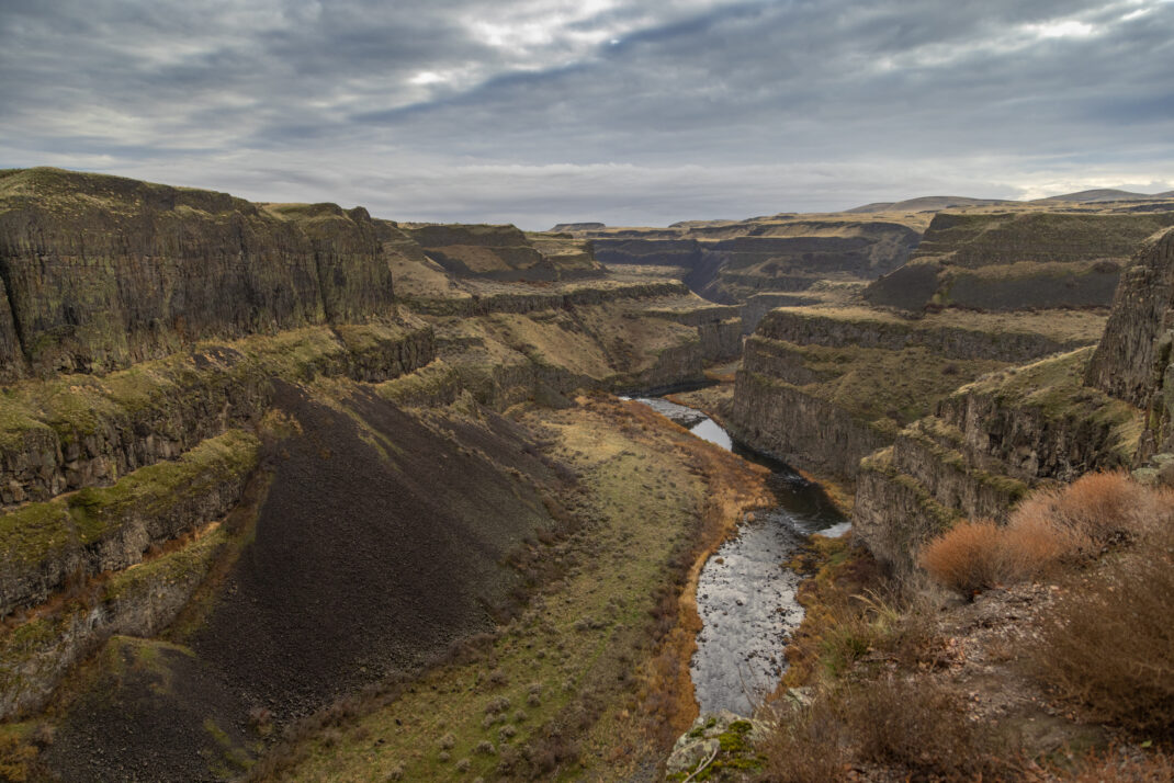 ARB 50 Year Trip – USA