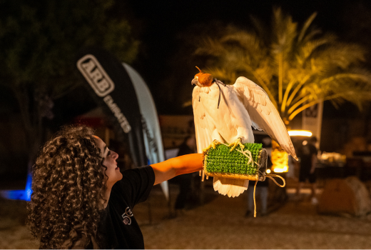 ARB 50 Year Trip – Middle East